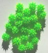 1 8mm Round Green & Yellow Silicone Bead